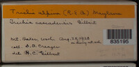 Image Associated With the Occurence